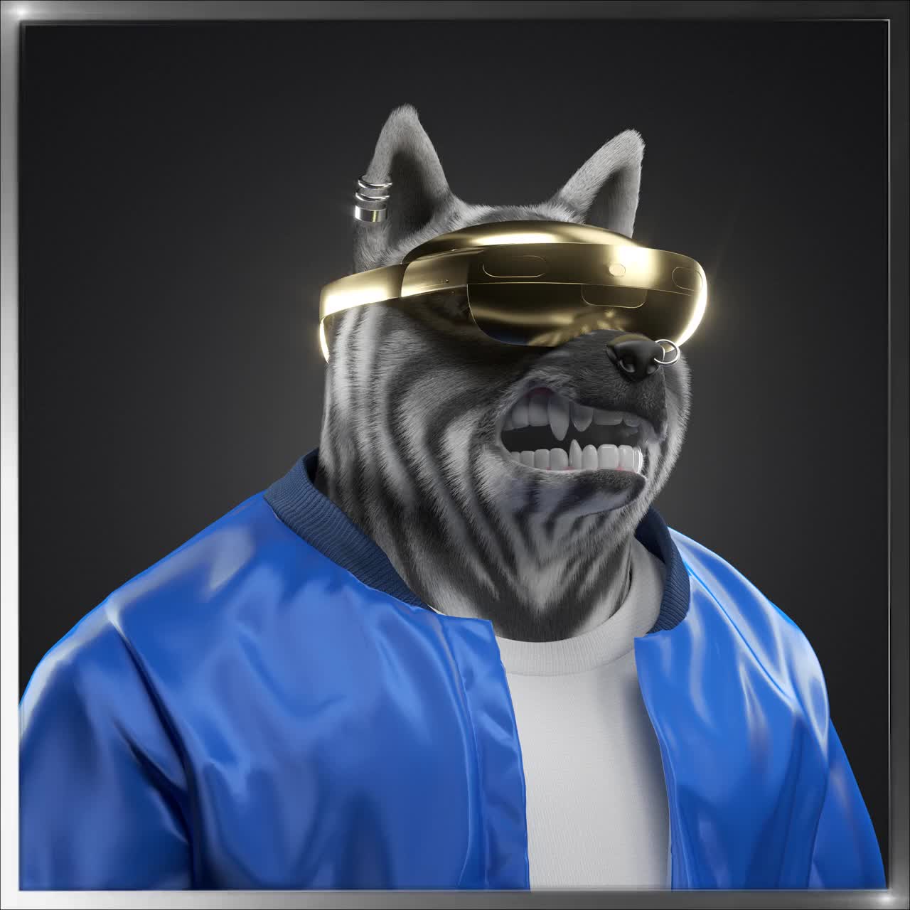 Shiba #333