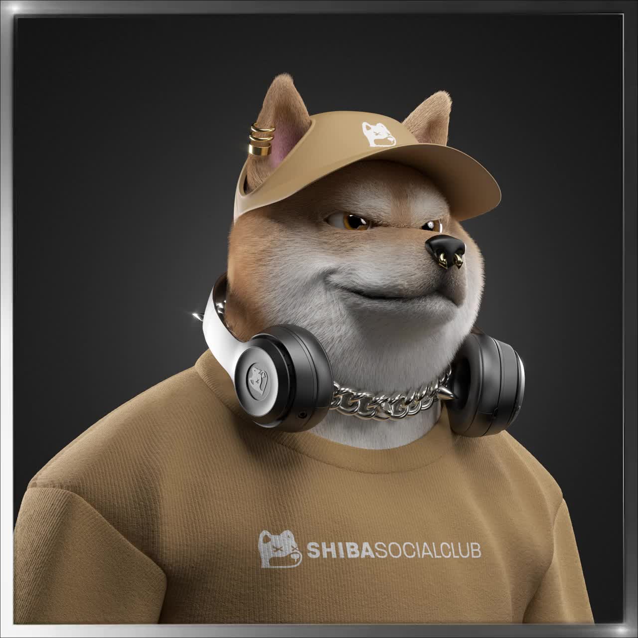 Shiba #437