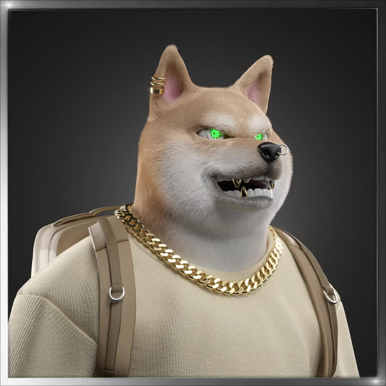 Shiba #455
