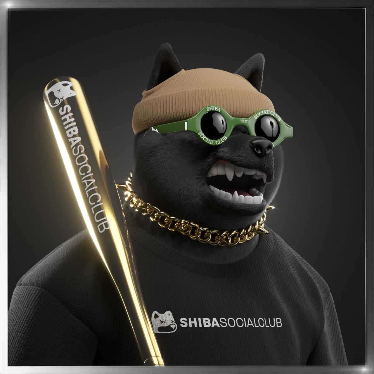 Shiba #612