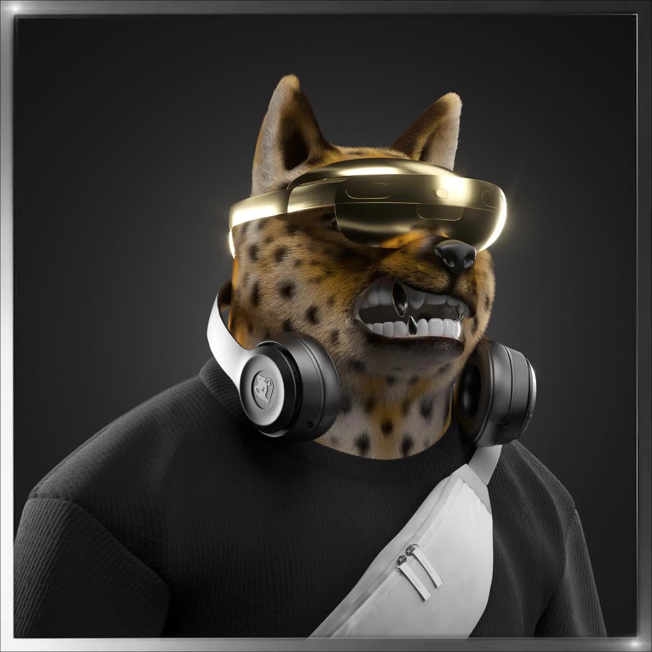 Shiba #704