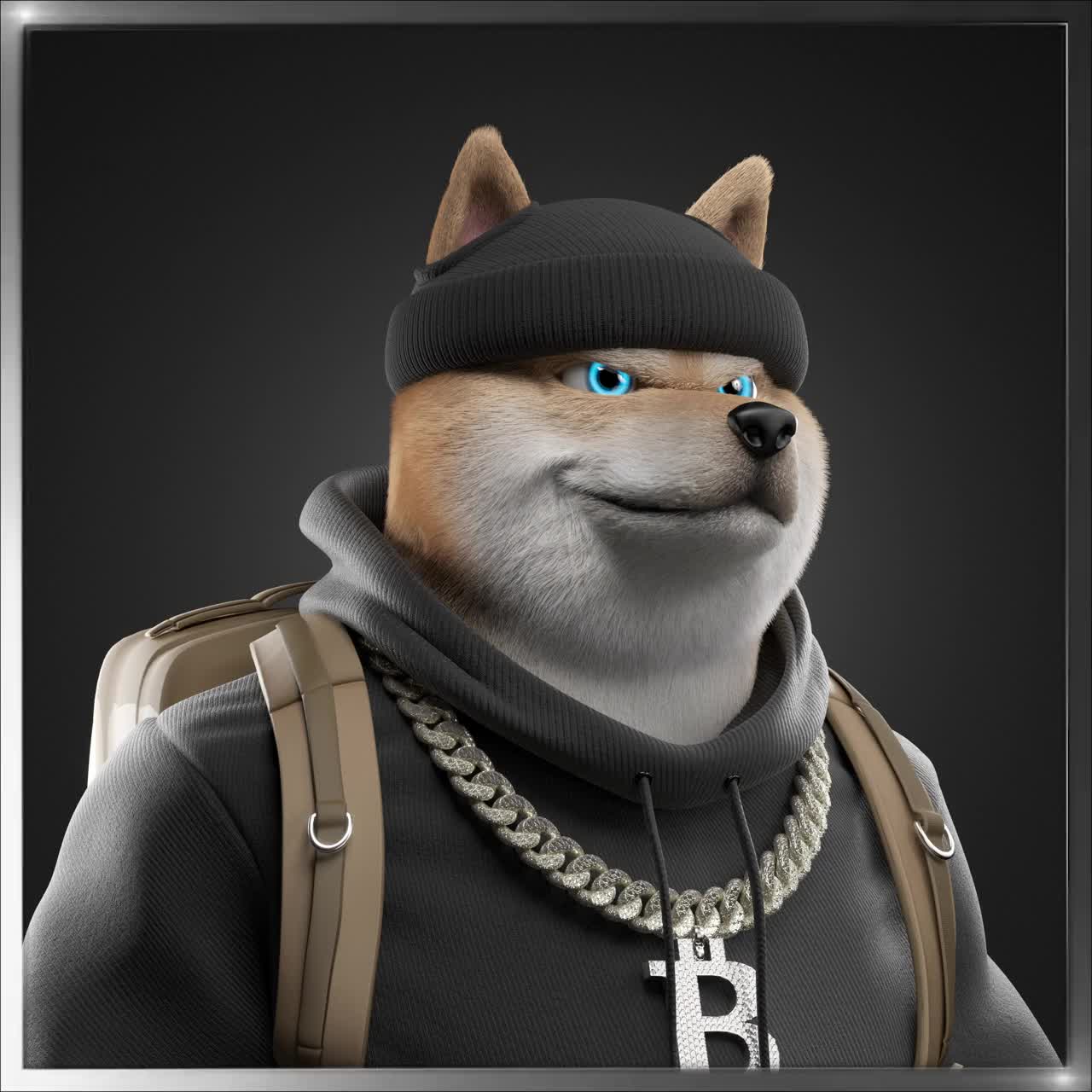 Shiba #898