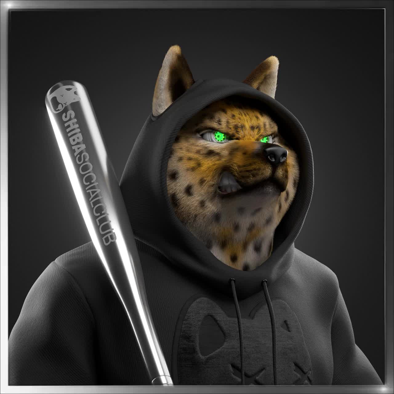 Shiba #969