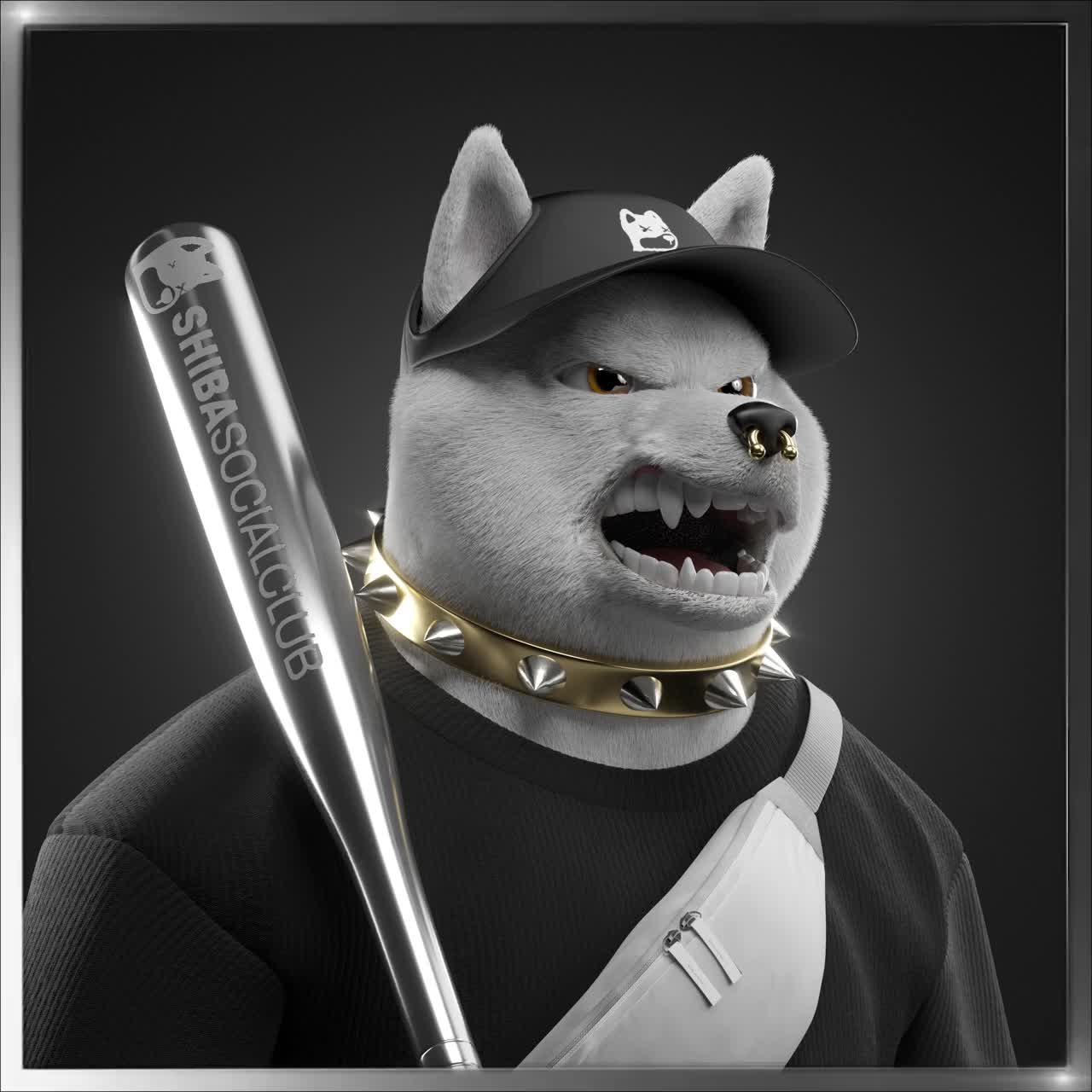 Shiba #1032