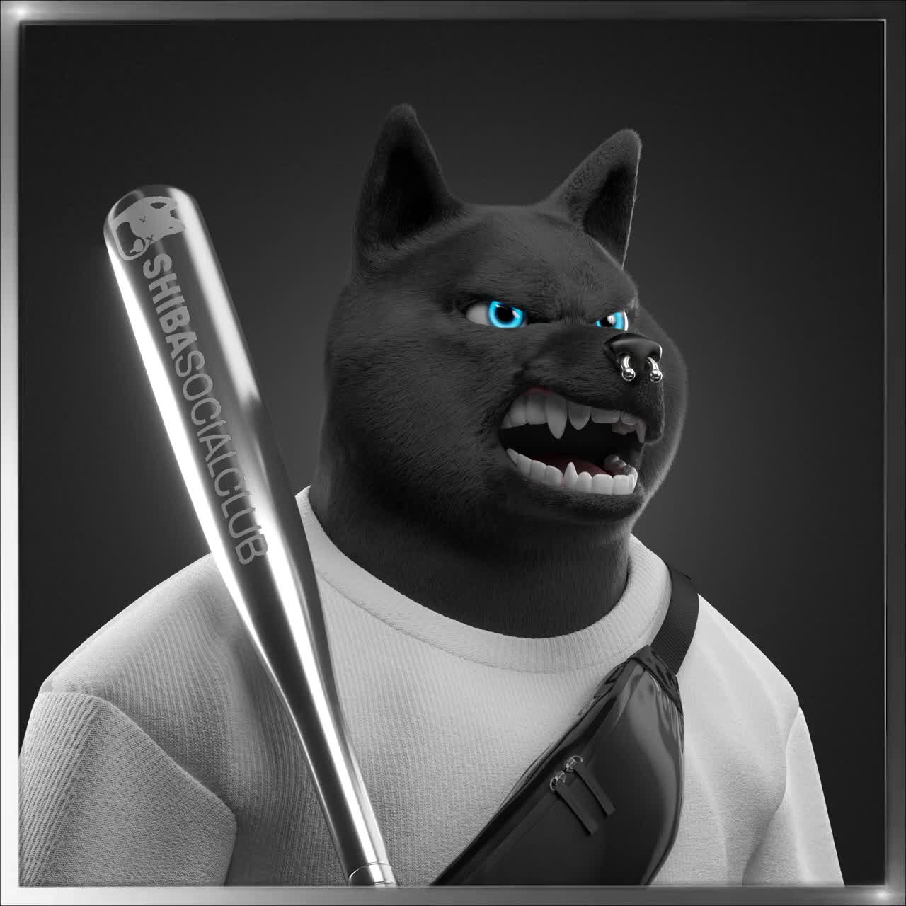 Shiba #1220