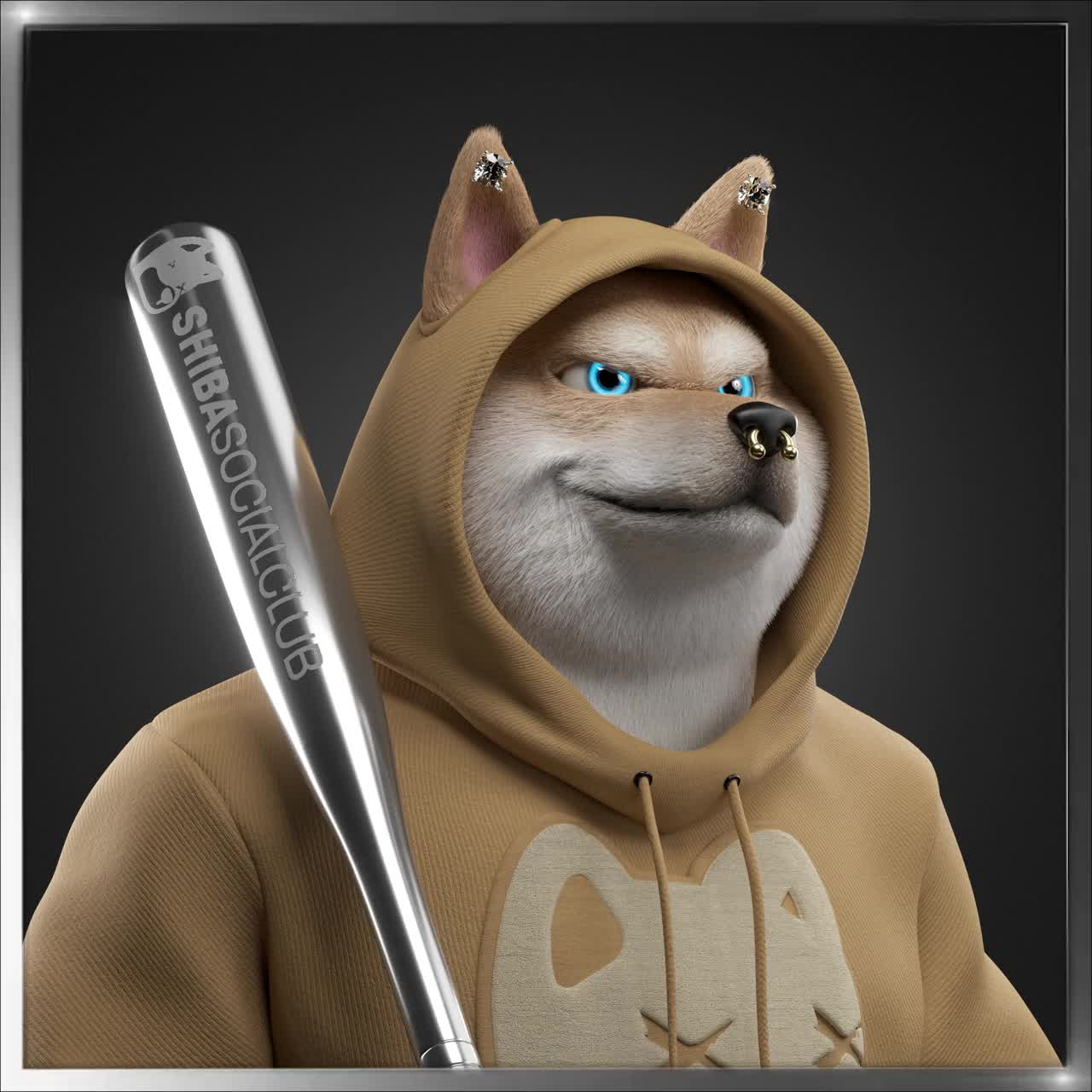 Shiba #1293