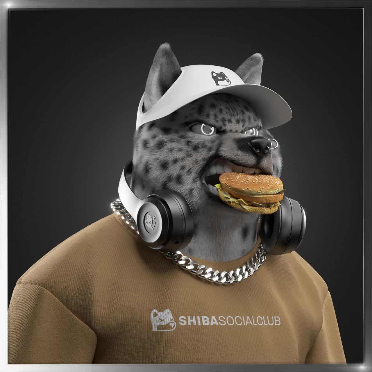 Shiba #1312