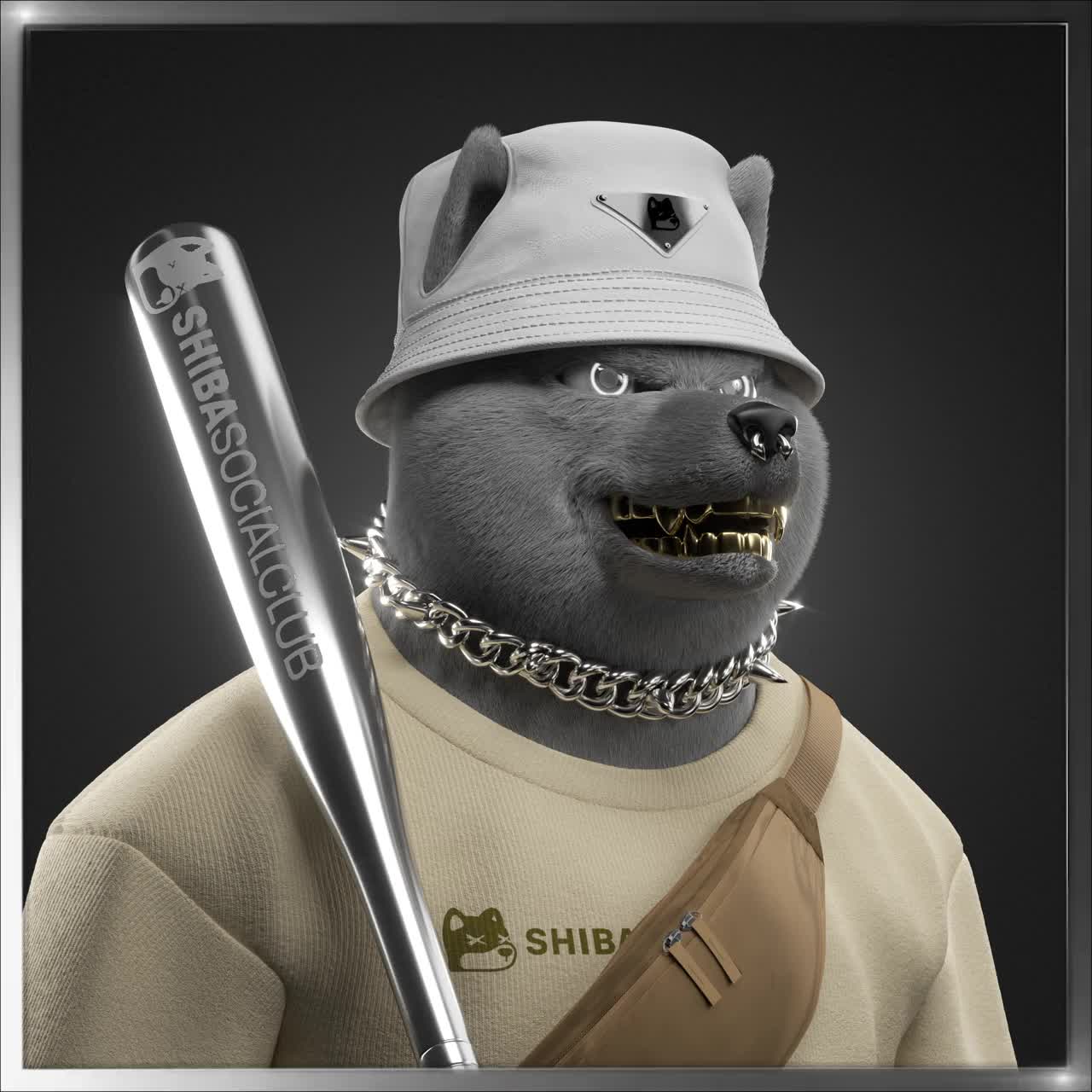 Shiba #1568