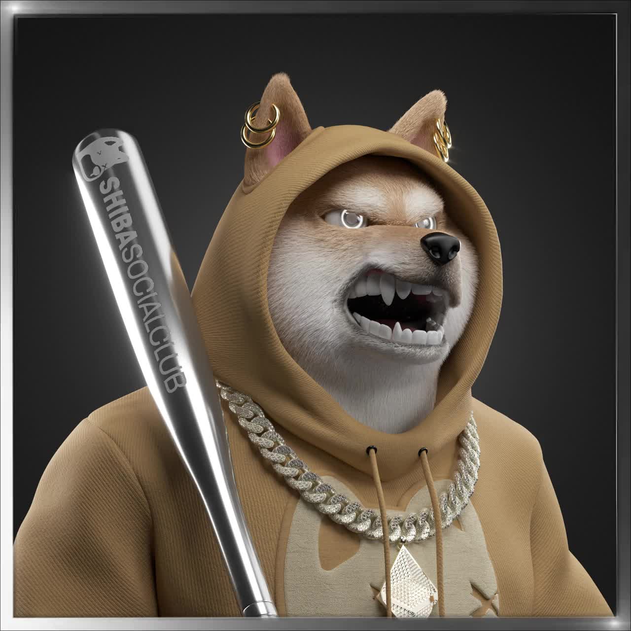 Shiba #1613