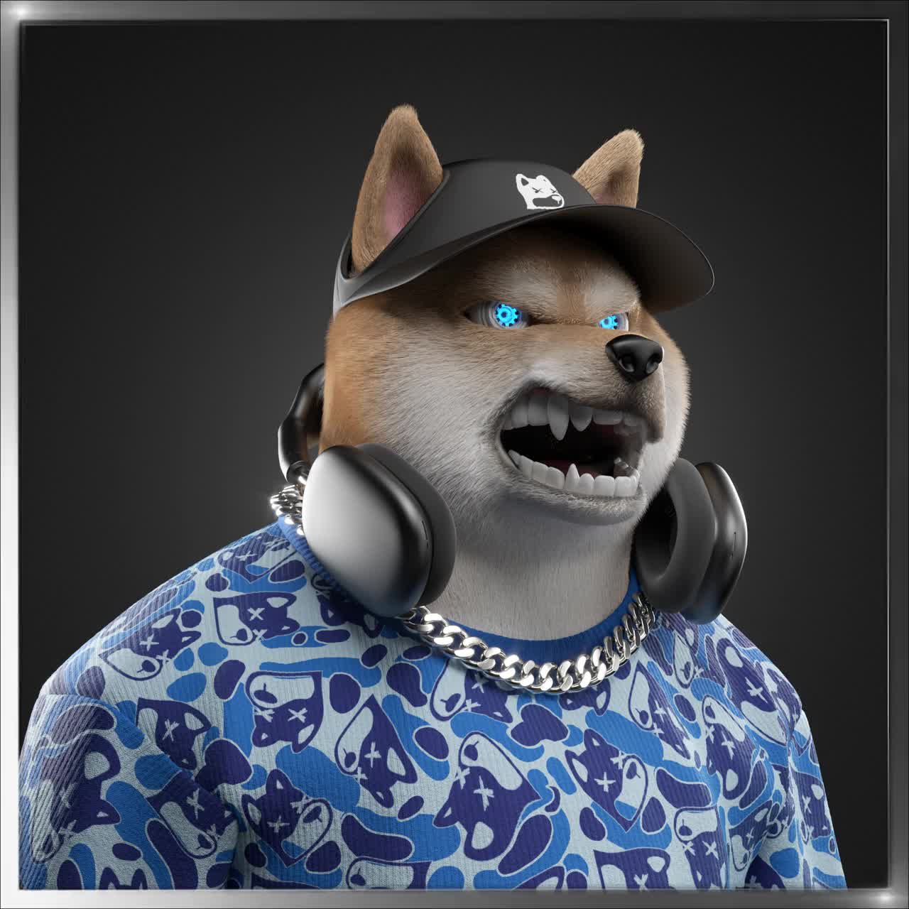 Shiba #1636