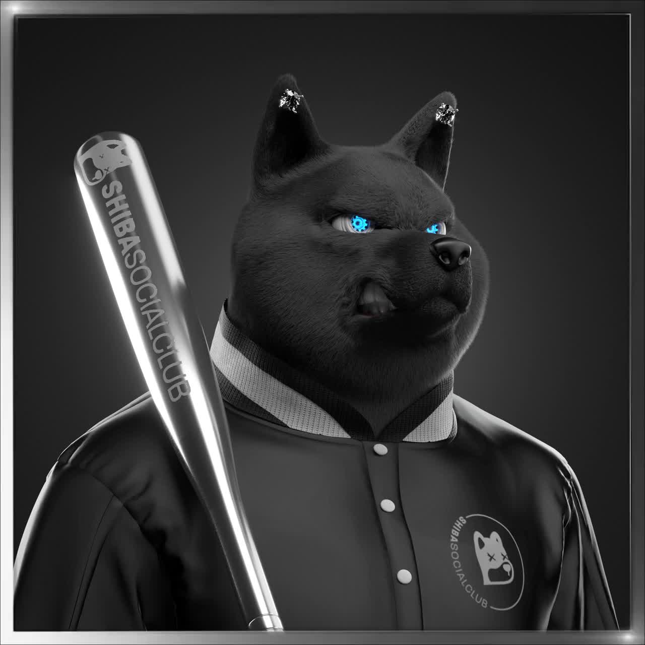 Shiba #1846