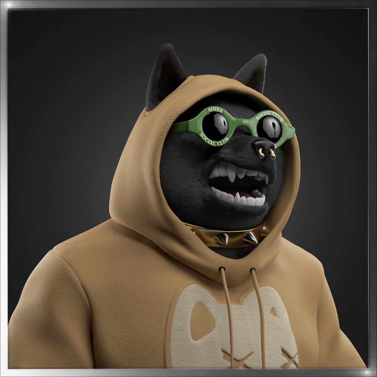 Shiba #1894