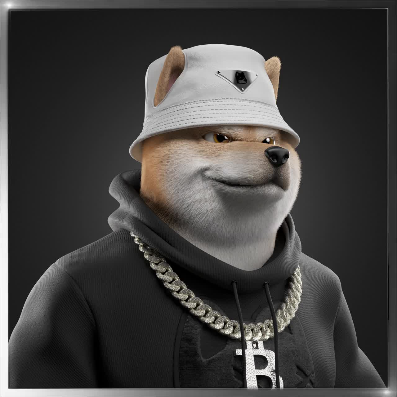 Shiba #1902