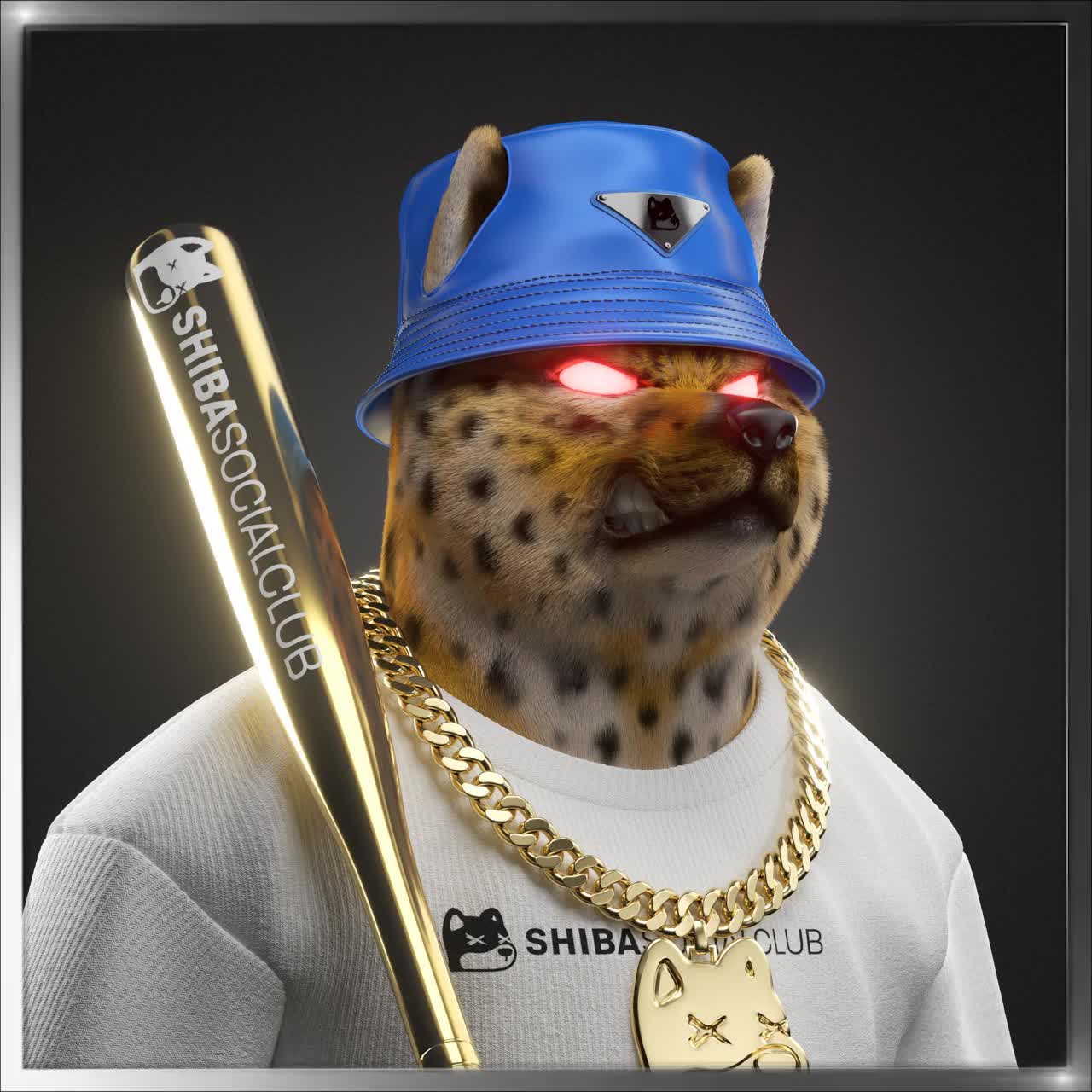 Shiba #1903