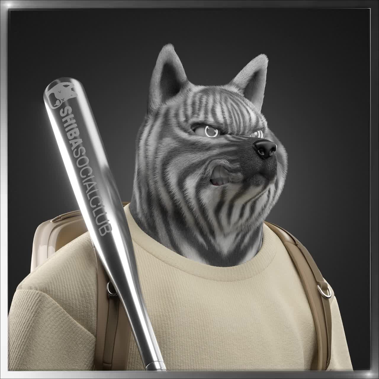 Shiba #1934