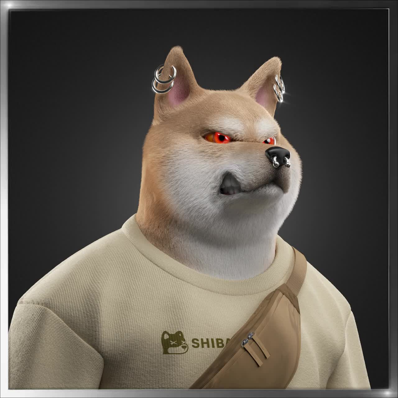 Shiba #2049