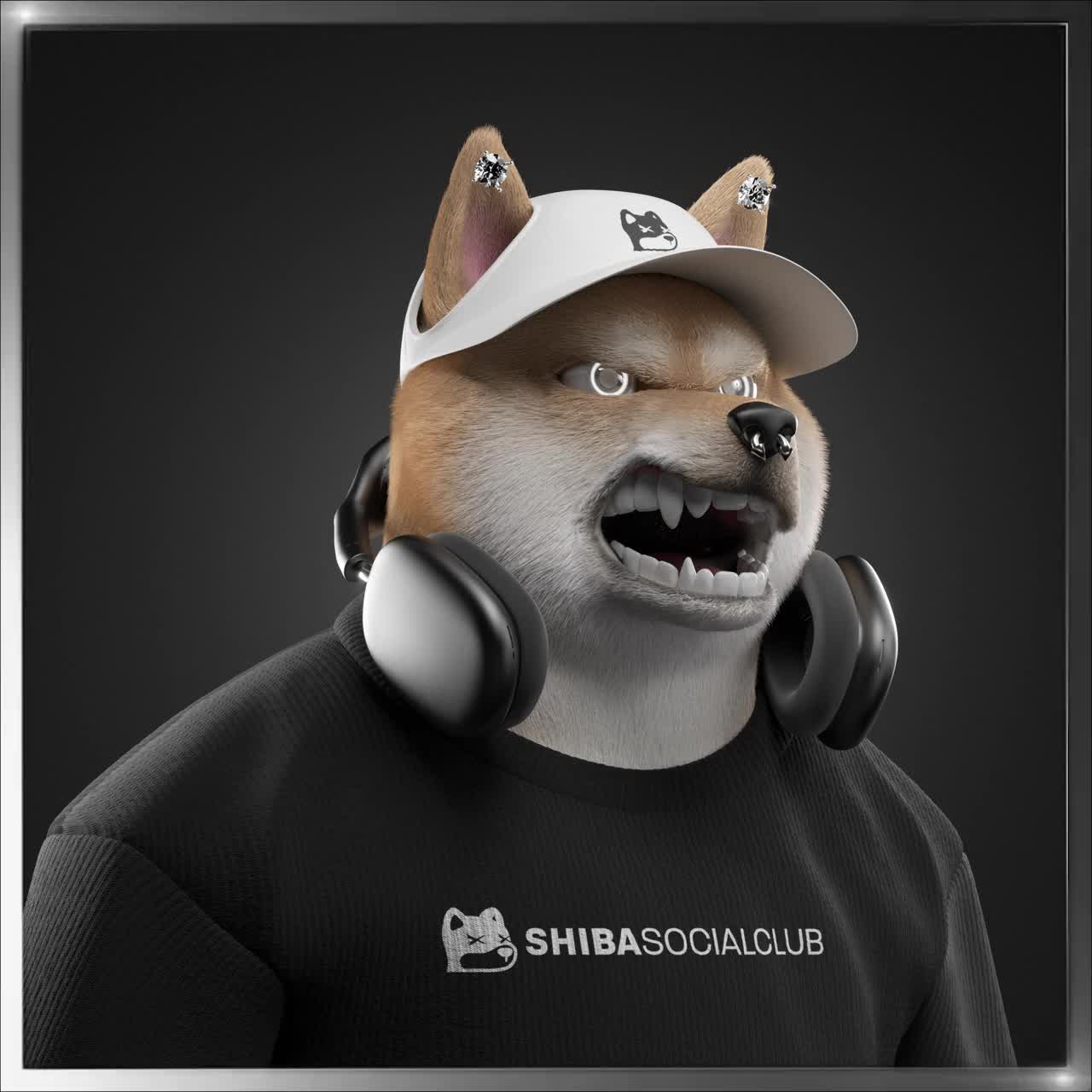 Shiba #2059