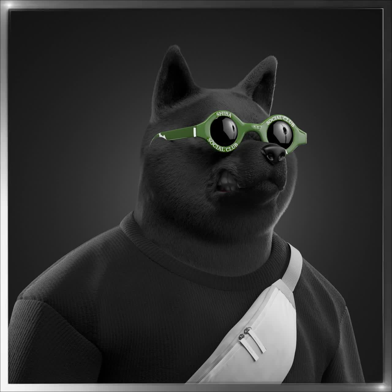 Shiba #2130