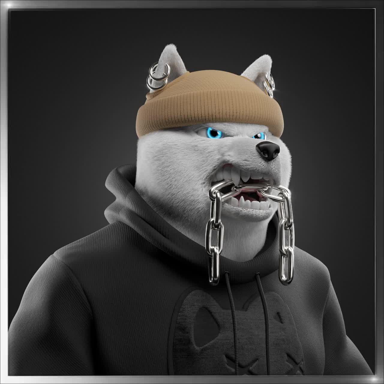 Shiba #2161