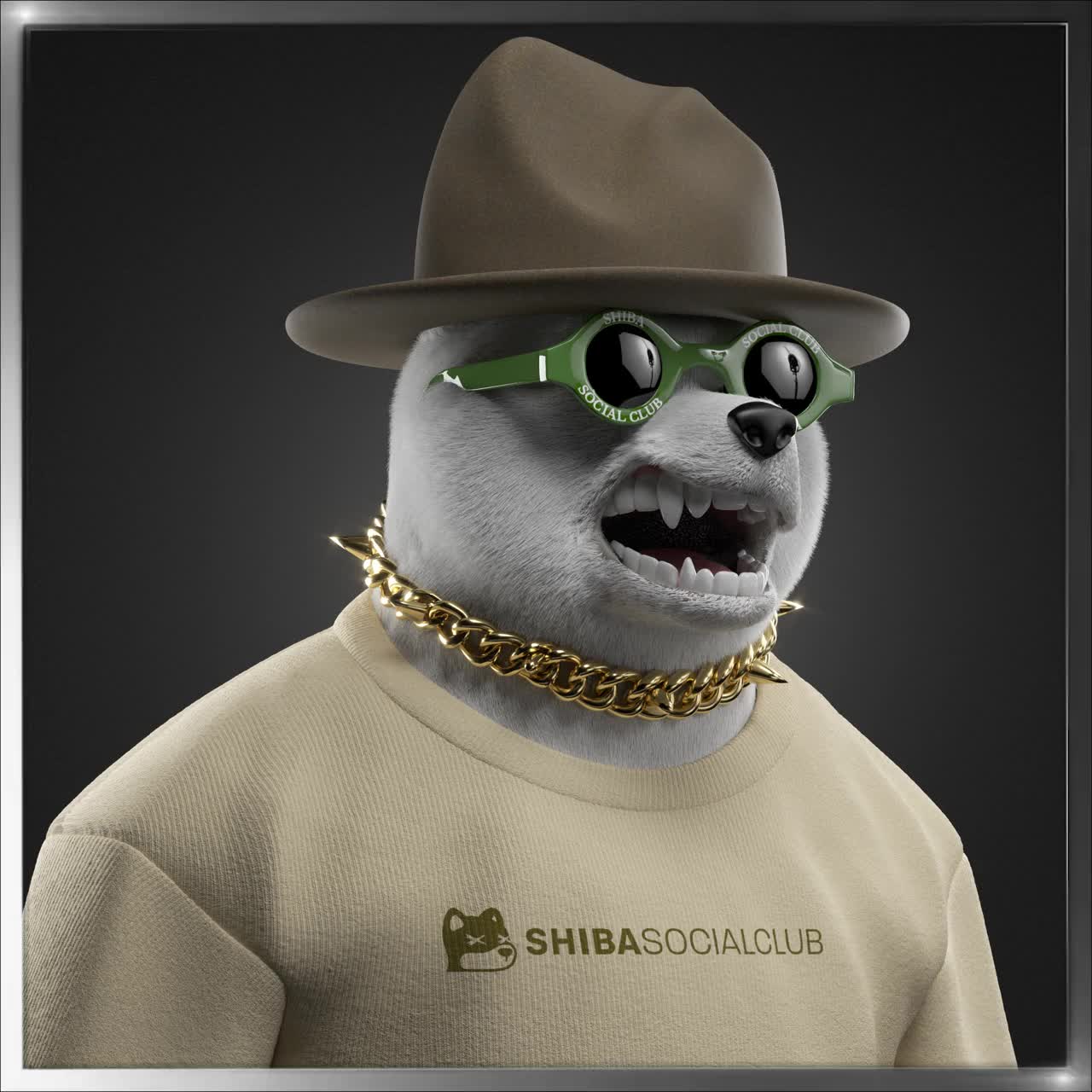 Shiba #2247