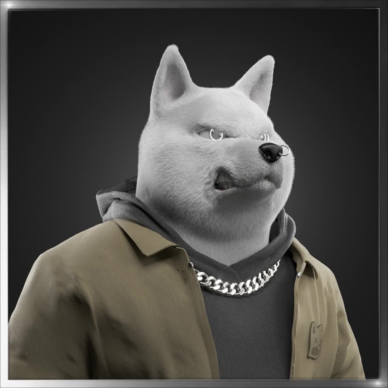 Shiba #2267