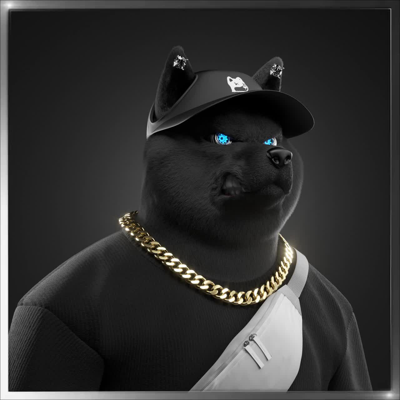 Shiba #2436