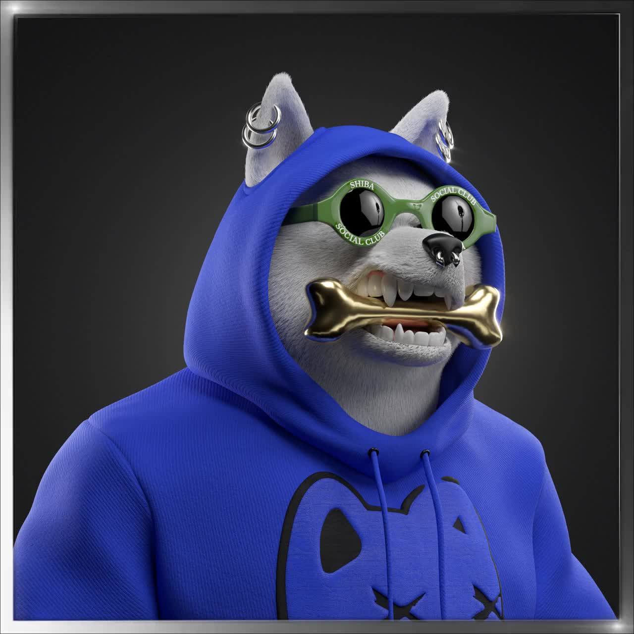 Shiba #2473