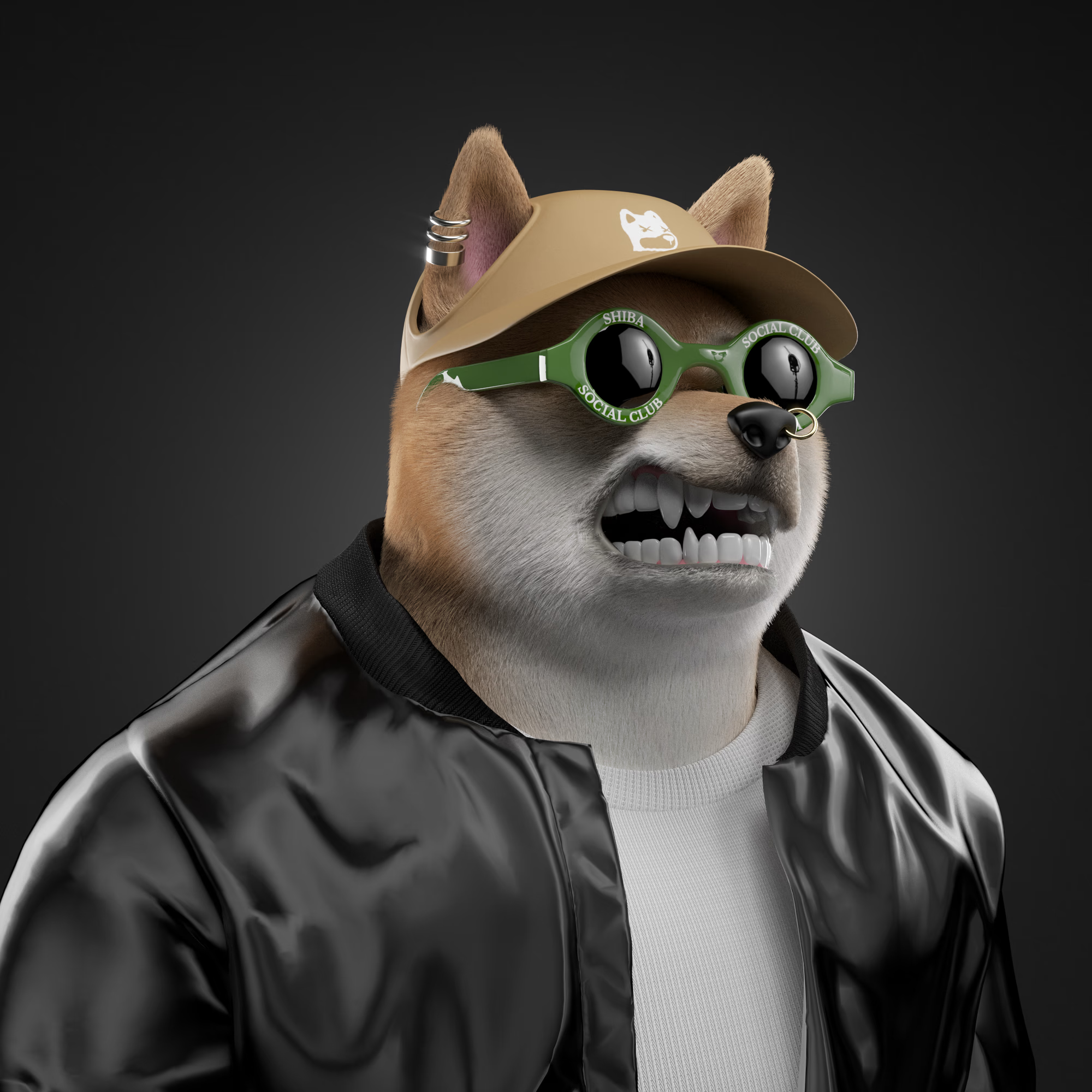 Shiba #1251