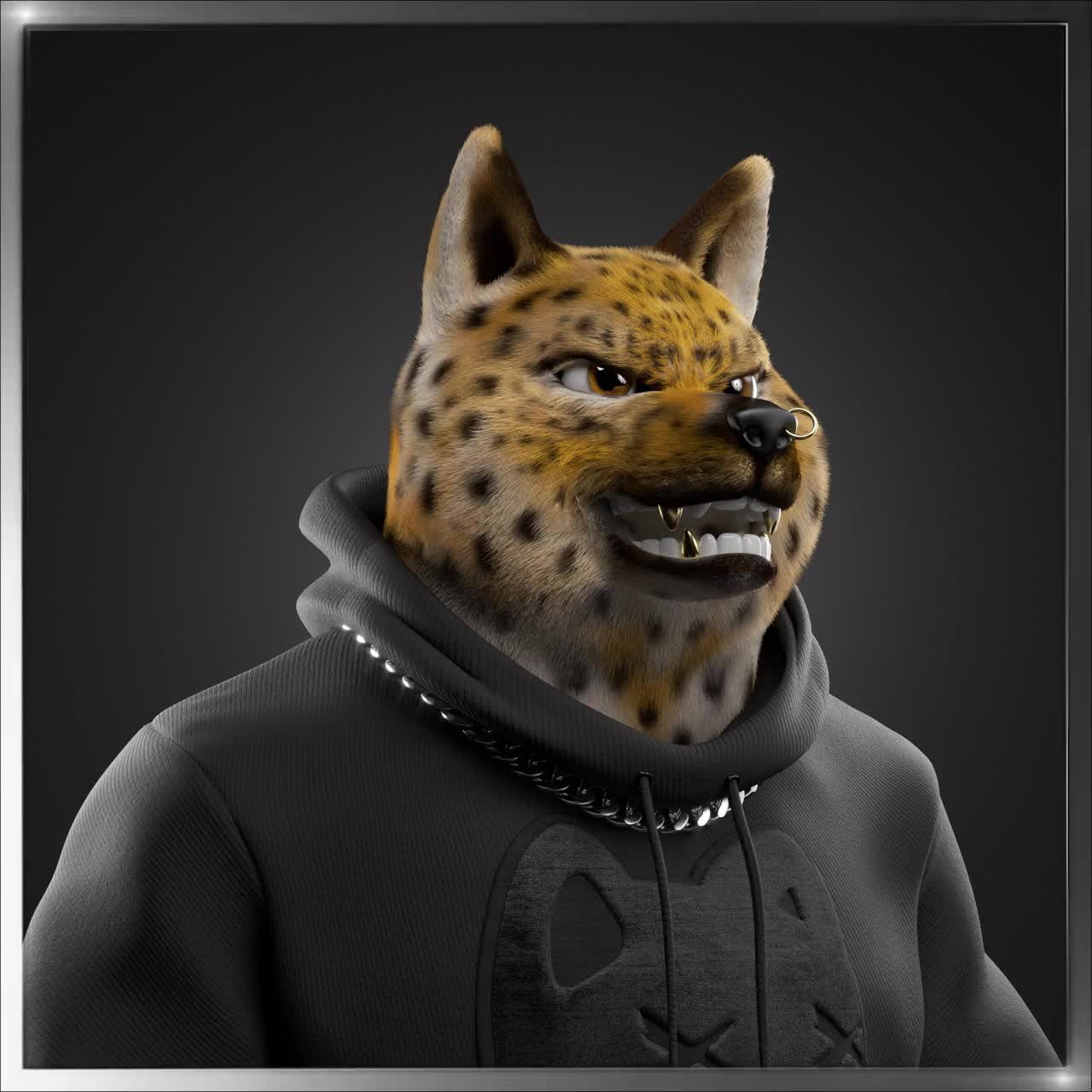 Shiba #2561