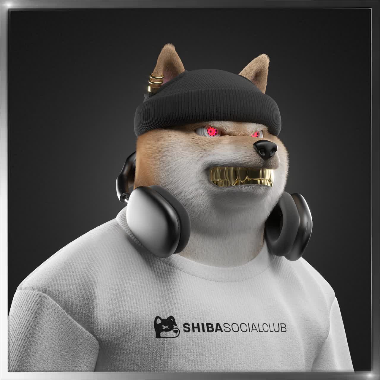 Shiba #2648