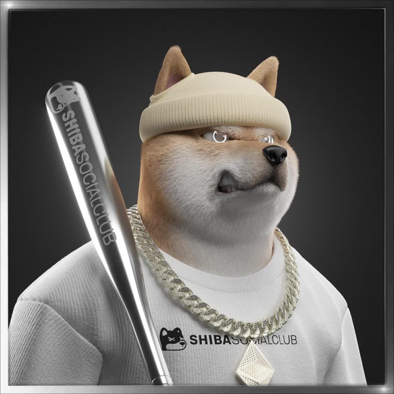 Shiba #2701