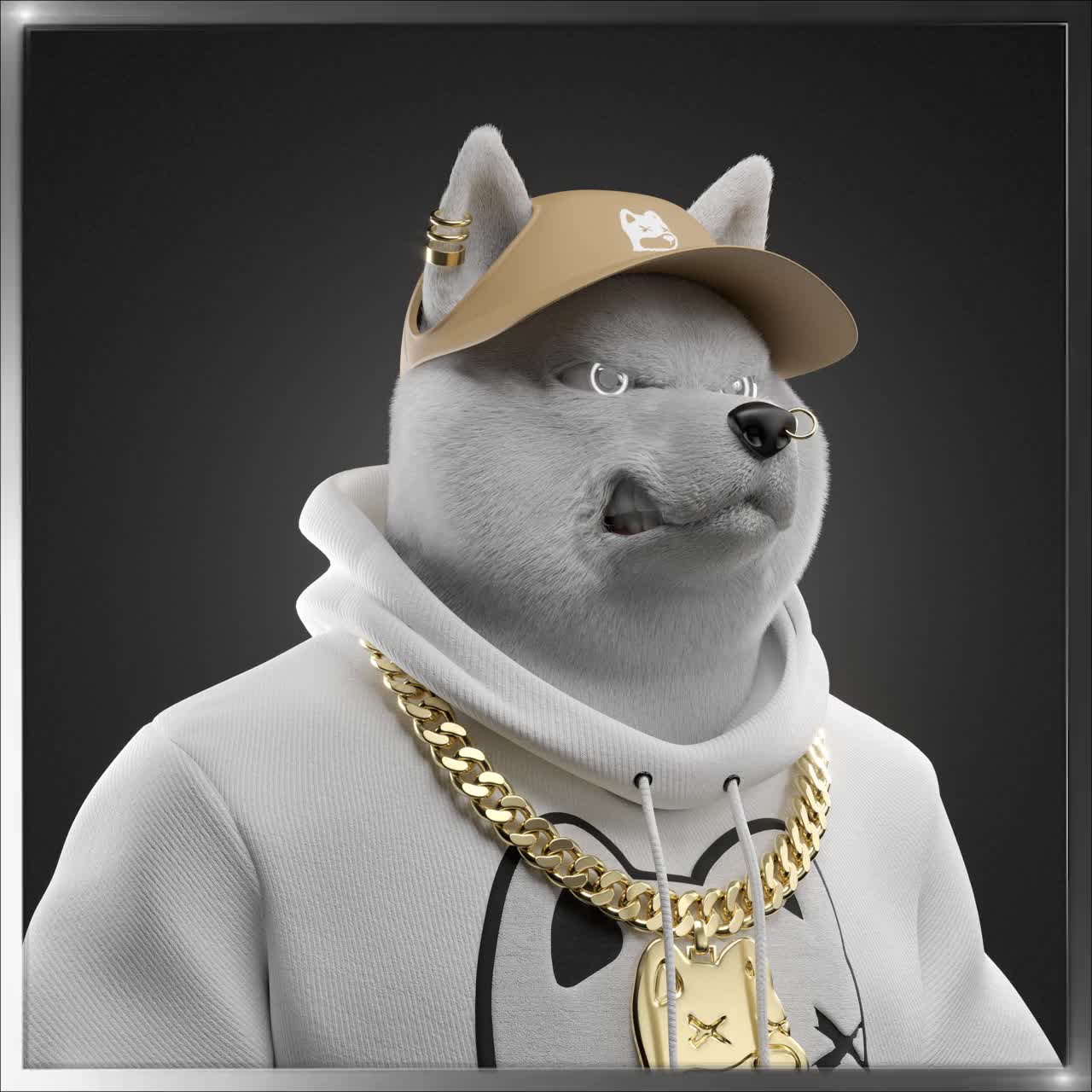 Shiba #3208