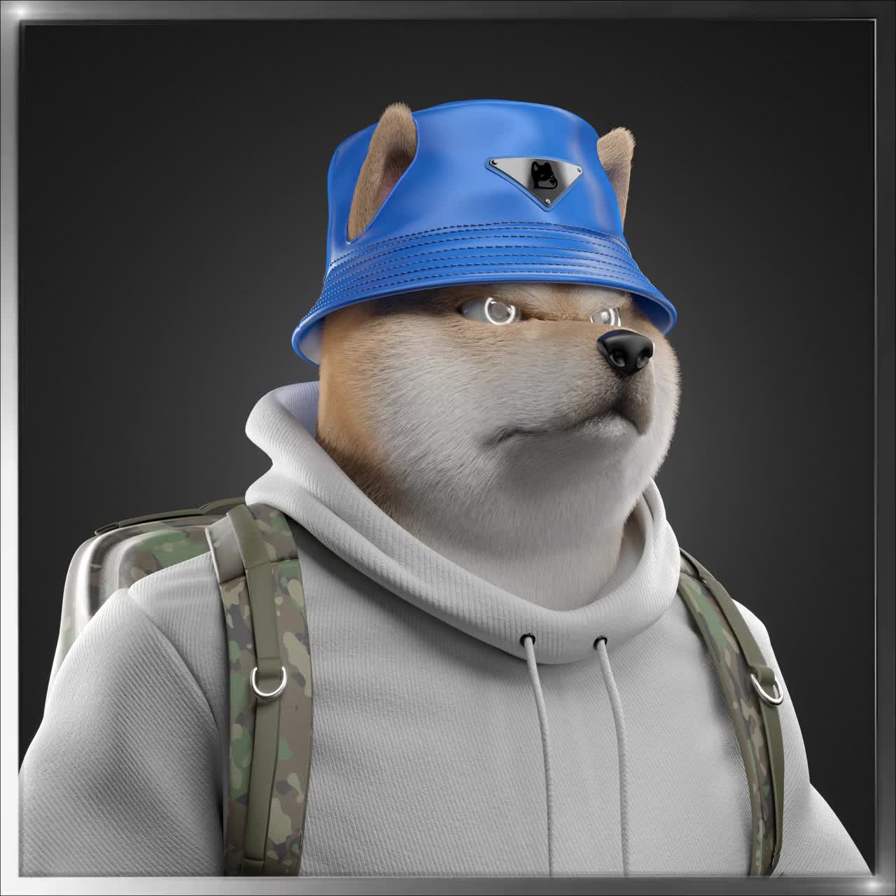 Shiba #3368