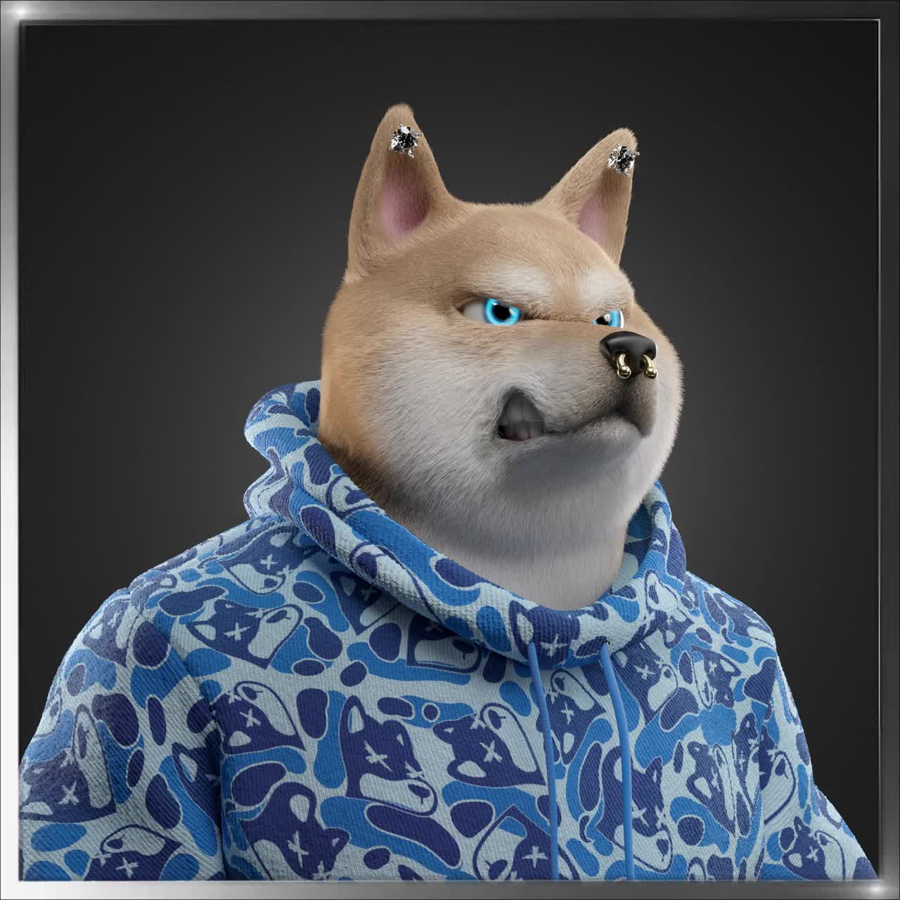 Shiba #3386