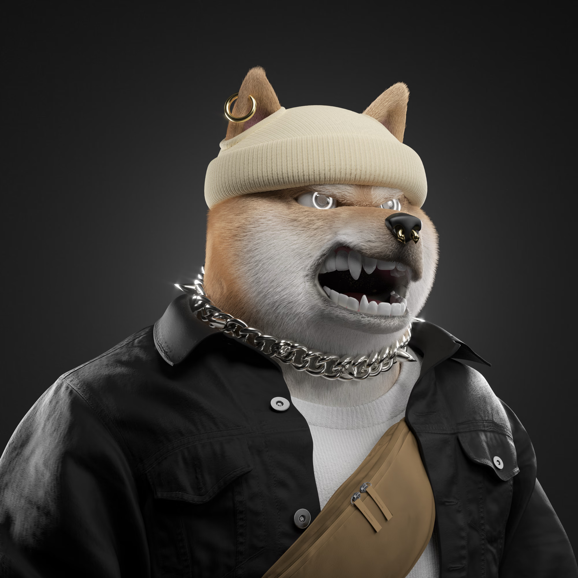 Shiba #1371