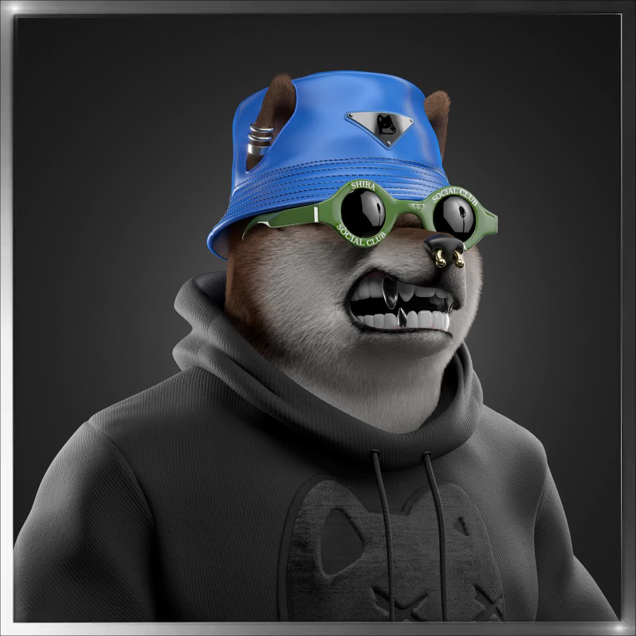 Shiba #3787