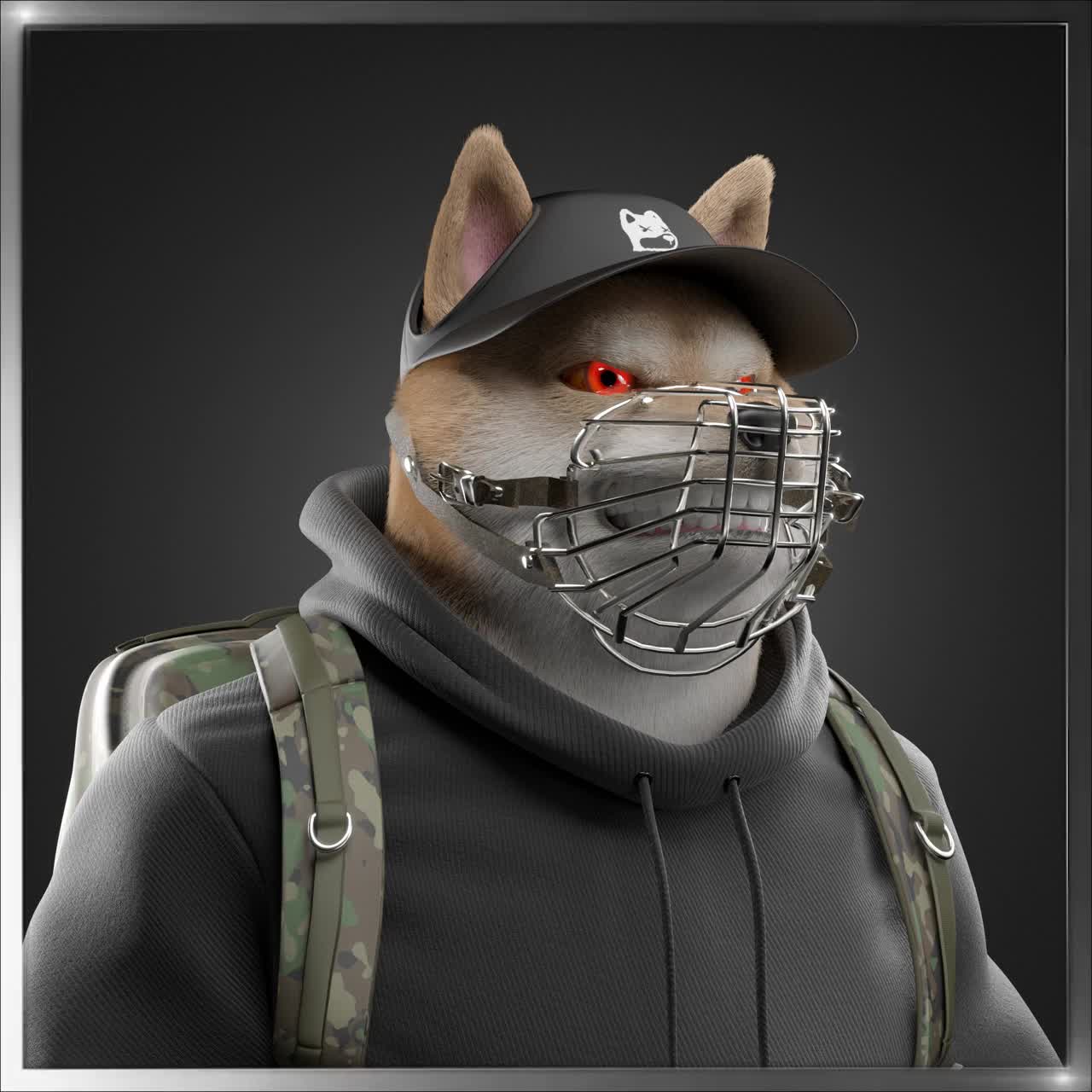Shiba #3980