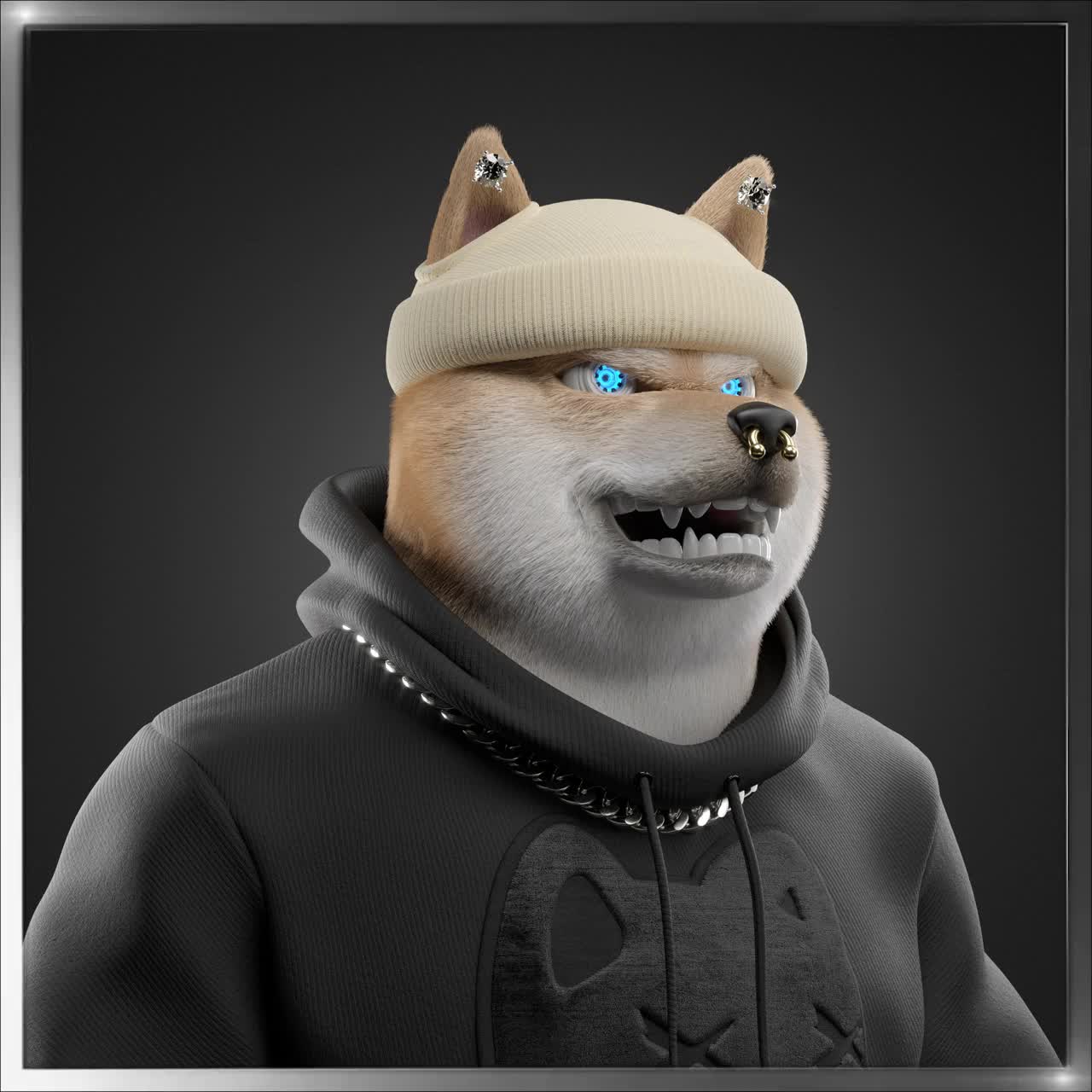 Shiba #4183