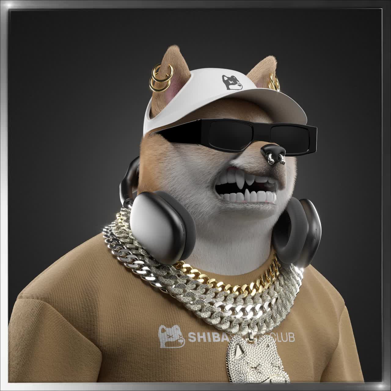 Shiba #4222