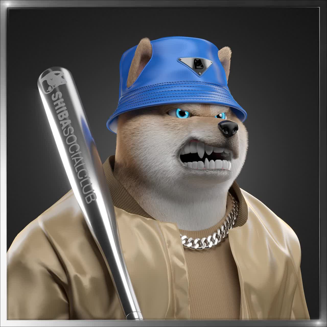 Shiba #4437
