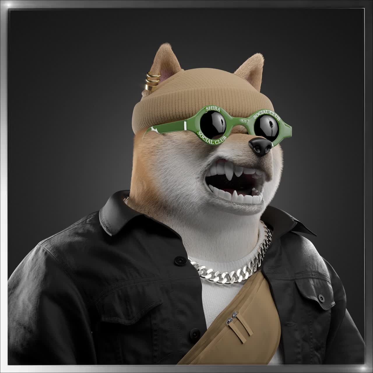 Shiba #4446