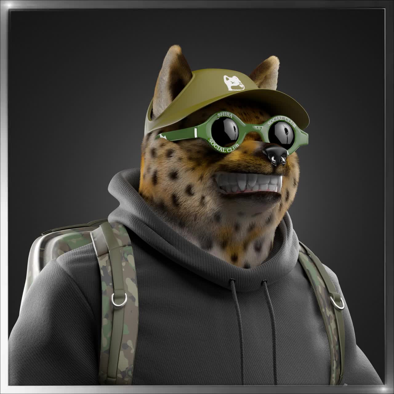 Shiba #4491