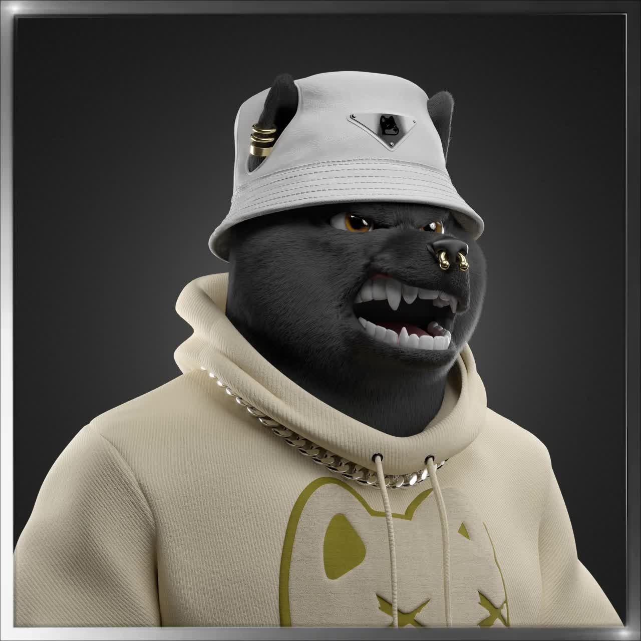 Shiba #4784
