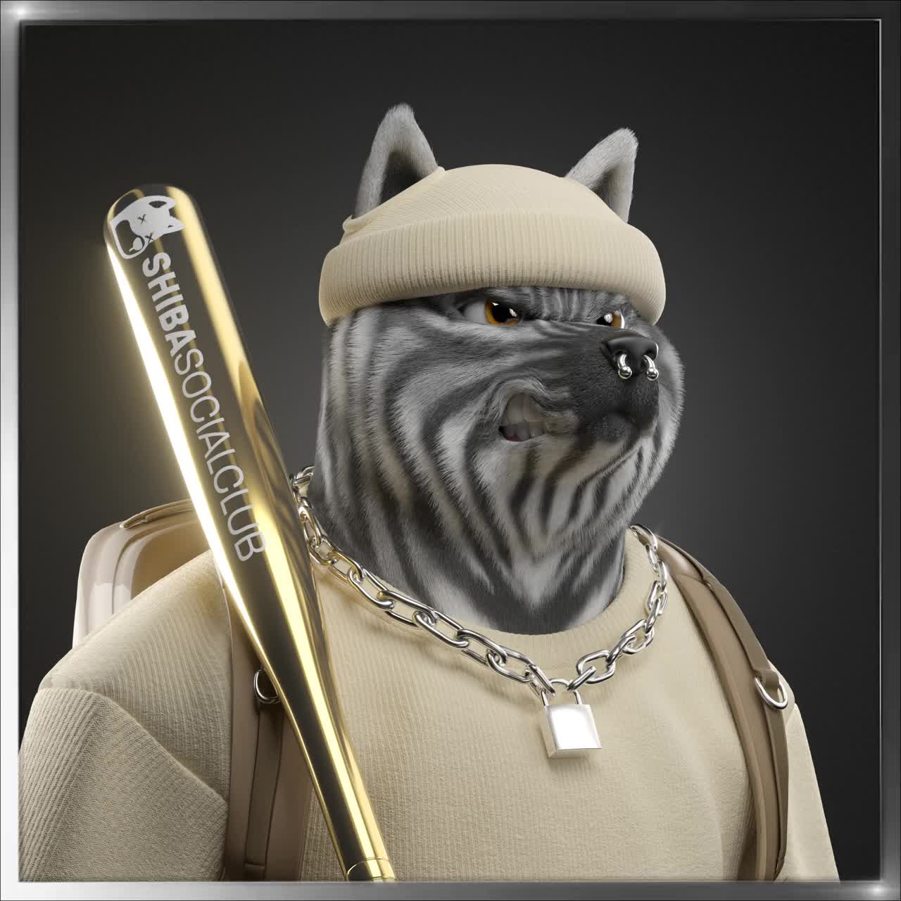 Shiba #4811