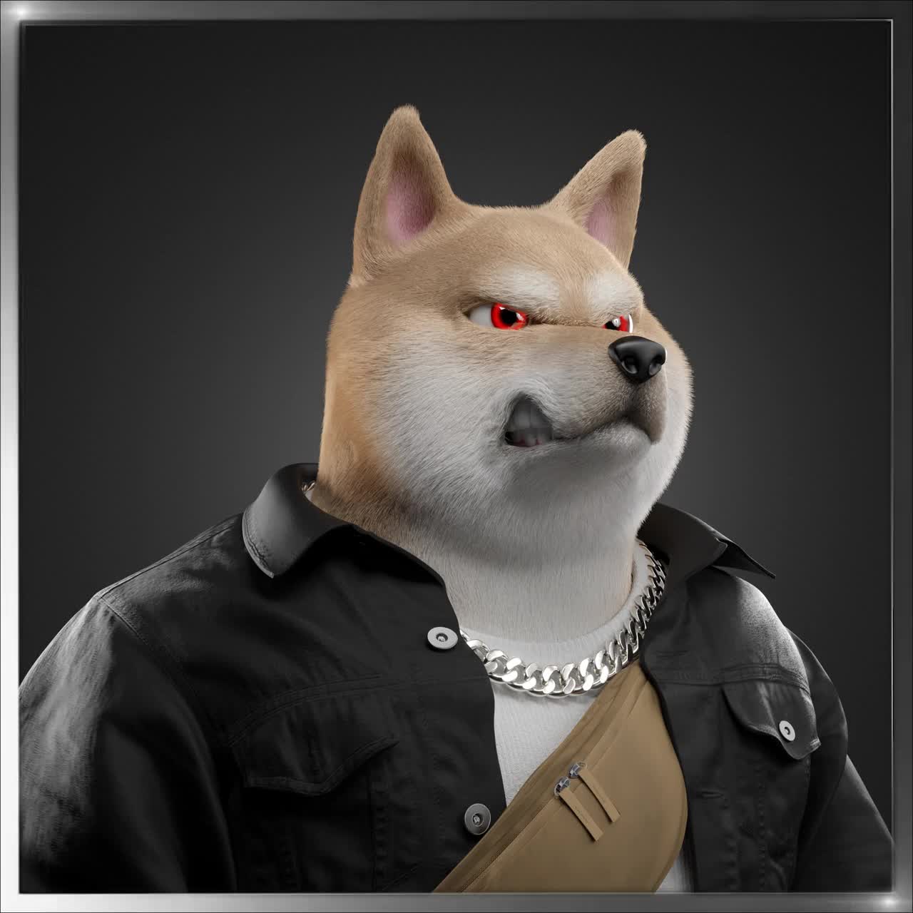 Shiba #4884