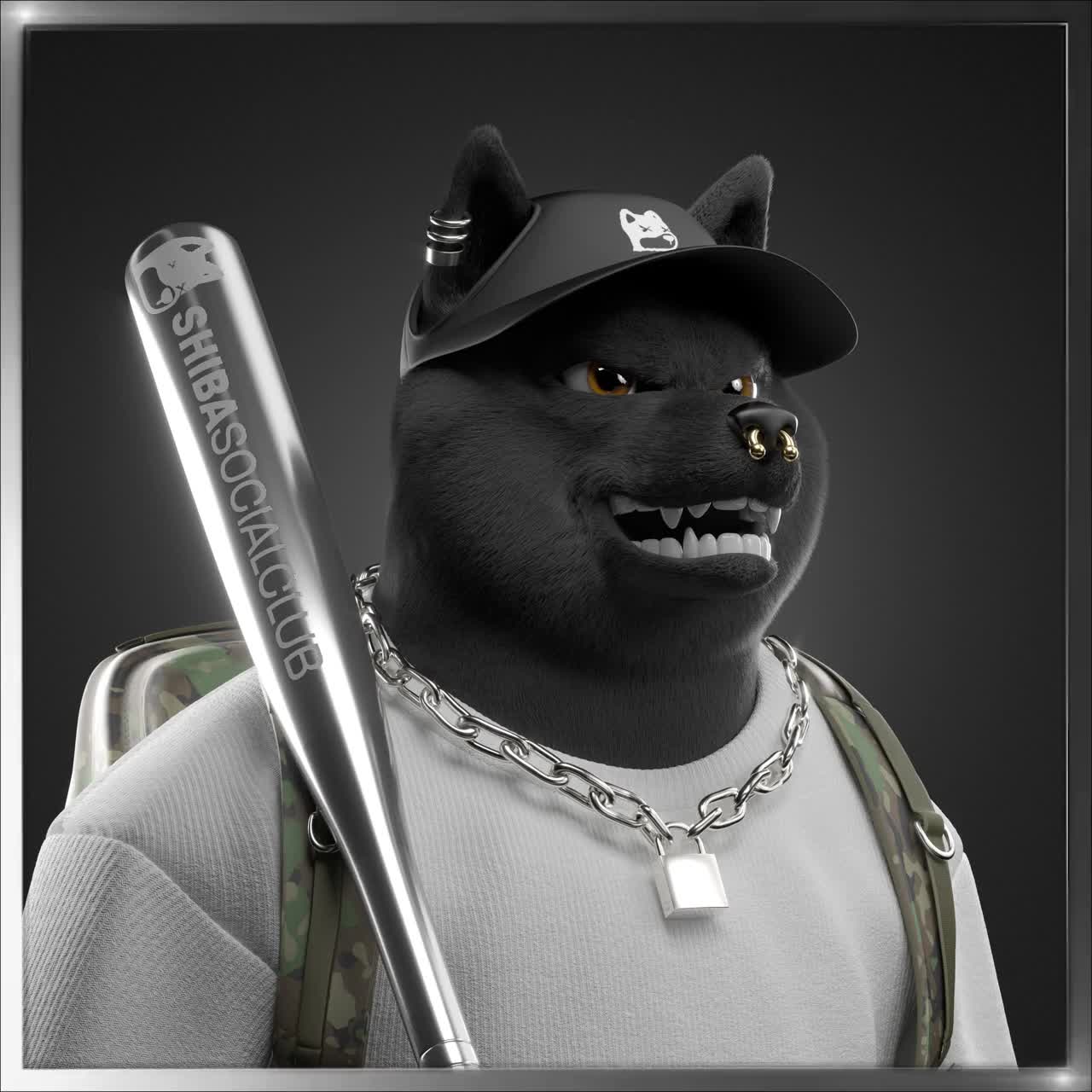 Shiba #5091