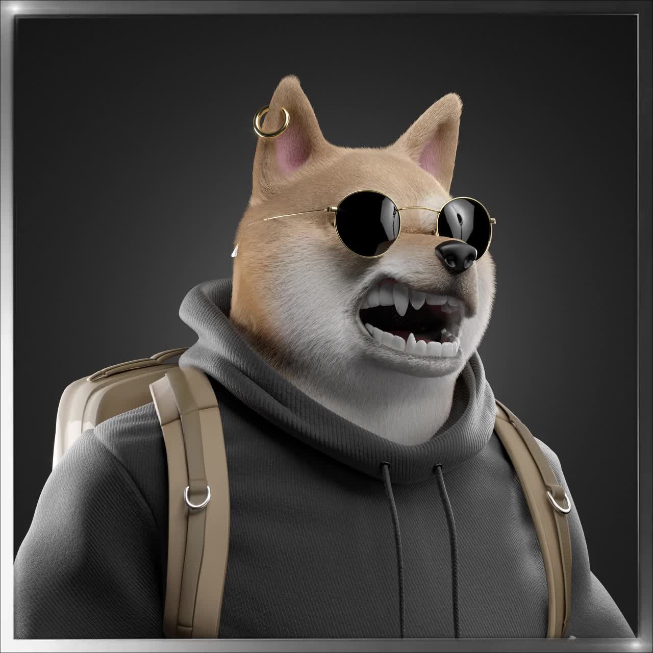 Shiba #5365