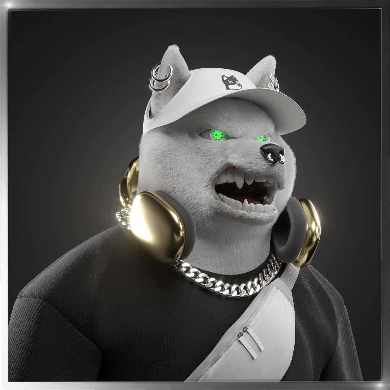 Shiba #5468