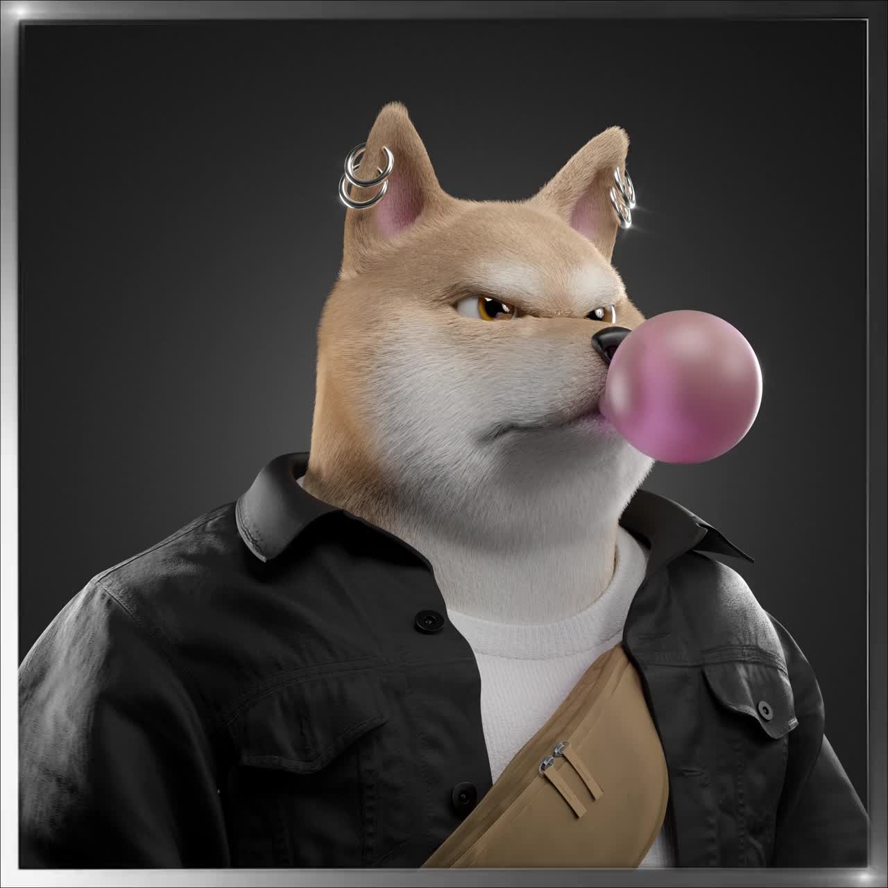 Shiba #6177