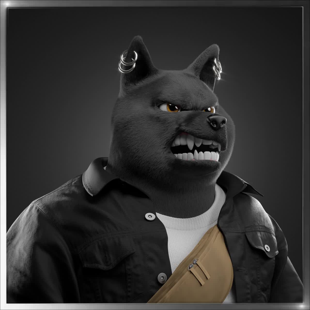 Shiba #6714
